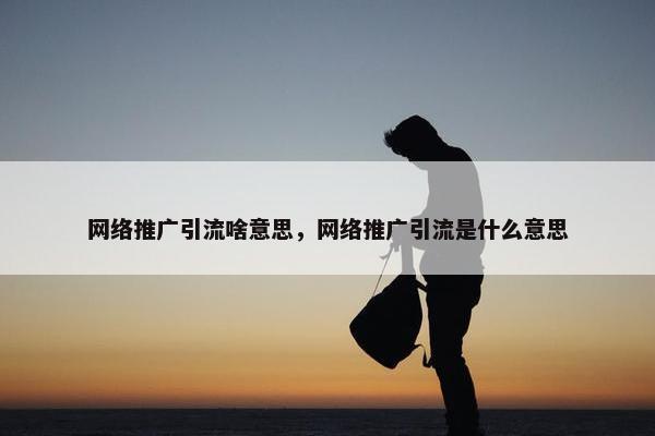 网络推广引流啥意思，网络推广引流是什么意思