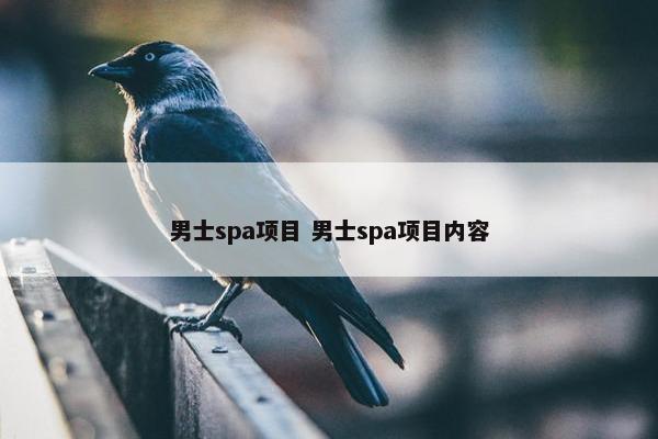 男士spa项目 男士spa项目内容