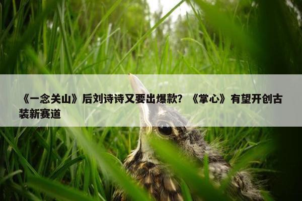 《一念关山》后刘诗诗又要出爆款？《掌心》有望开创古装新赛道