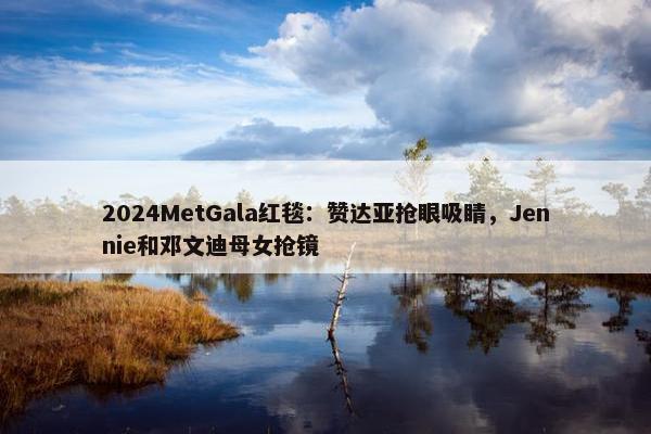 2024MetGala红毯：赞达亚抢眼吸睛，Jennie和邓文迪母女抢镜