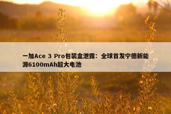 一加Ace 3 Pro包装盒泄露：全球首发宁德新能源6100mAh超大电池