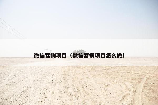 微信营销项目（微信营销项目怎么做）