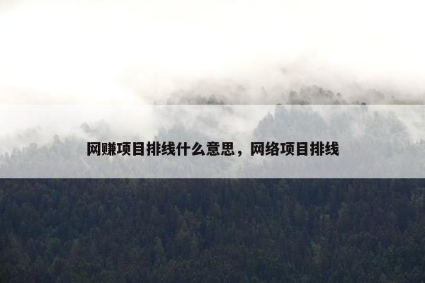 网赚项目排线什么意思，网络项目排线