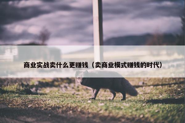 商业实战卖什么更赚钱（卖商业模式赚钱的时代）