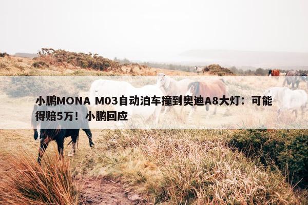 小鹏MONA M03自动泊车撞到奥迪A8大灯：可能得赔5万！小鹏回应