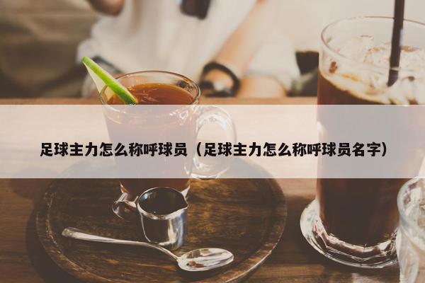 足球主力怎么称呼球员（足球主力怎么称呼球员名字）