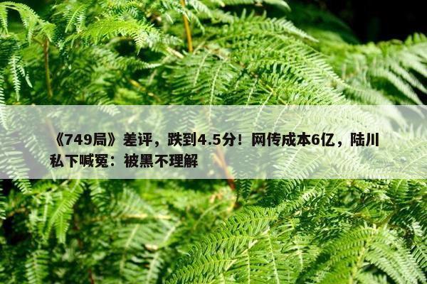 《749局》差评，跌到4.5分！网传成本6亿，陆川私下喊冤：被黑不理解