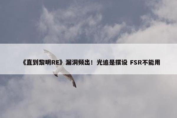 《直到黎明RE》漏洞频出！光追是摆设 FSR不能用