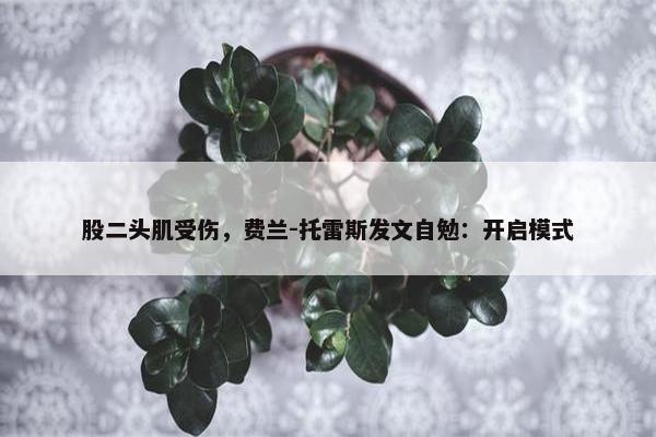 股二头肌受伤，费兰-托雷斯发文自勉：开启模式