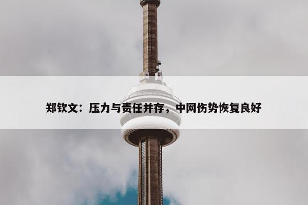 郑钦文：压力与责任并存，中网伤势恢复良好